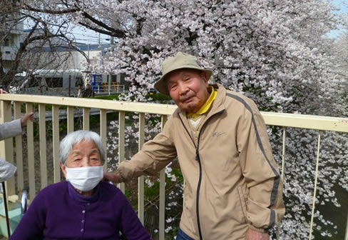 お花見の様子